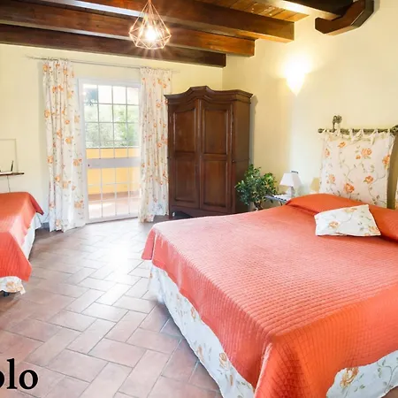 Lisa * دْيانو مارينا