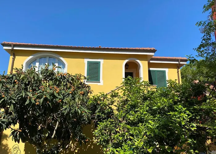 Lisa دْيانو مارينا